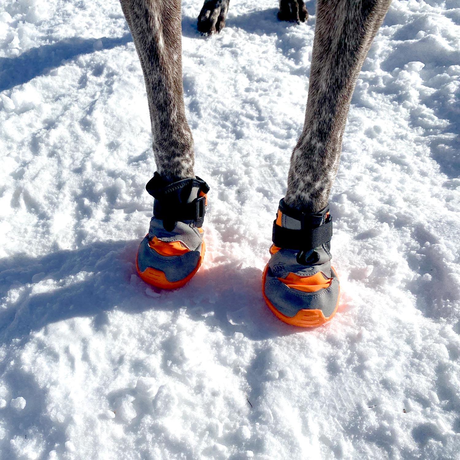 Hundeschuhe I-DOG Khan Pad N'Polar 7/7