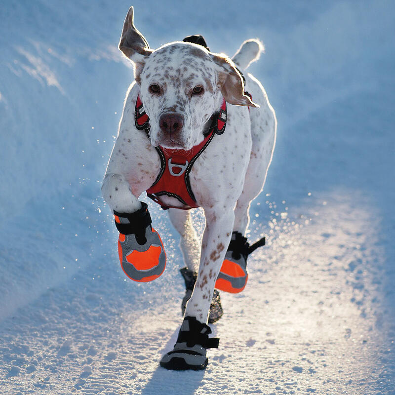 Chaussures I-DOG KHAN PAD N'PROTECT POLAR Orange (Lot de 2)