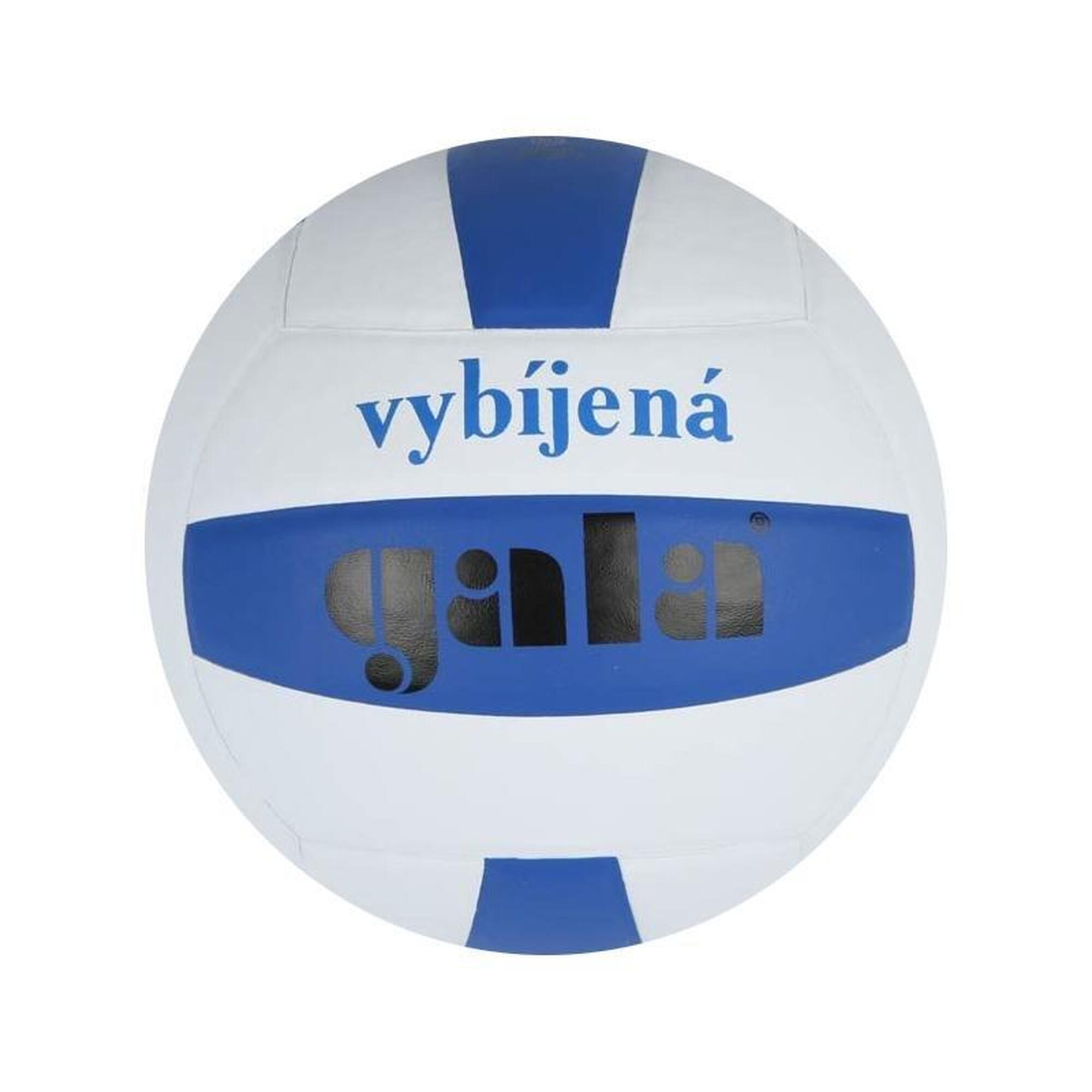 GALA Míč na vybíjenou GALA BV4061S