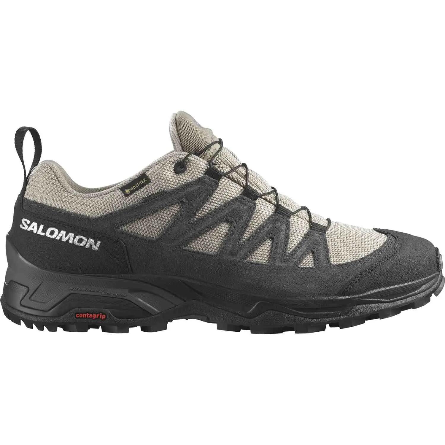 SALOMON picture