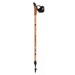 Bâtons Marche Nordique - TERRE DE TREK NOMADE 86-130 cm