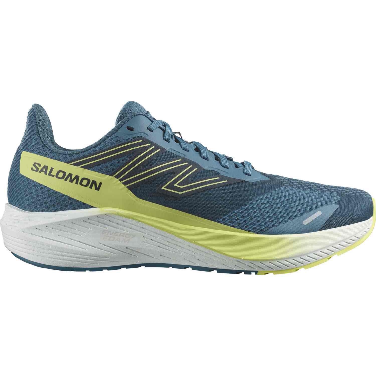 SALOMON picture