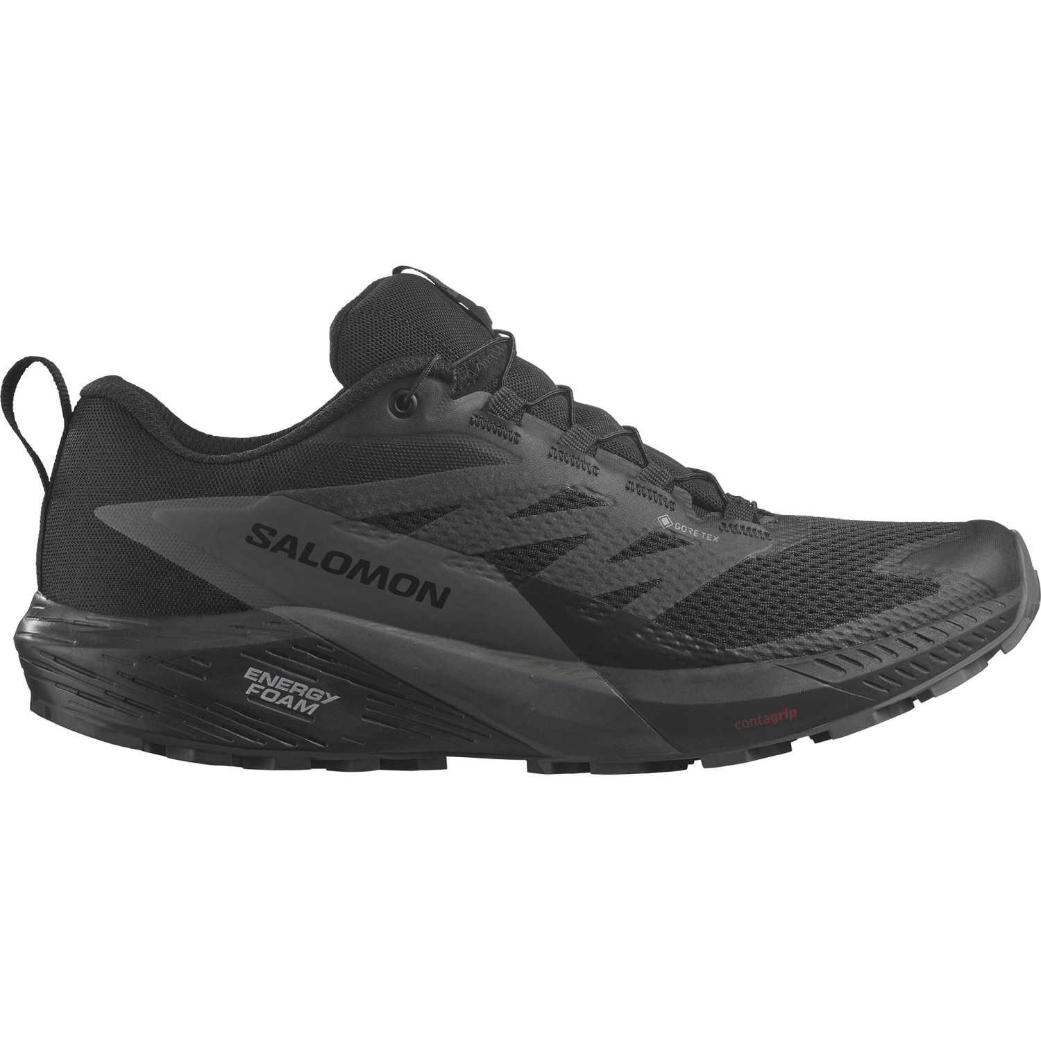 SALOMON picture