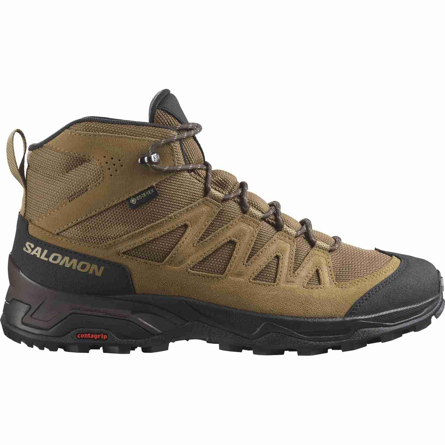SALOMON picture