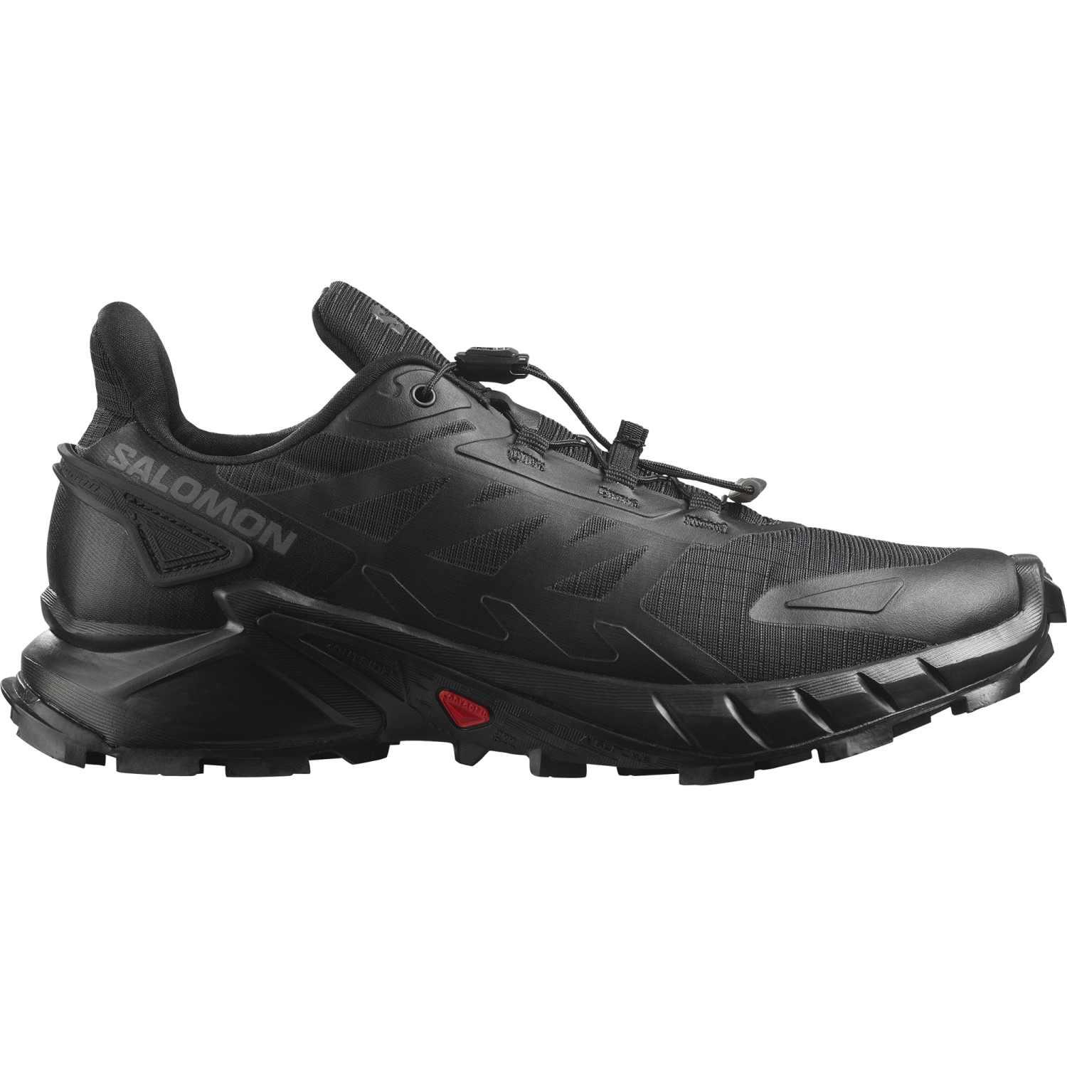 SALOMON picture