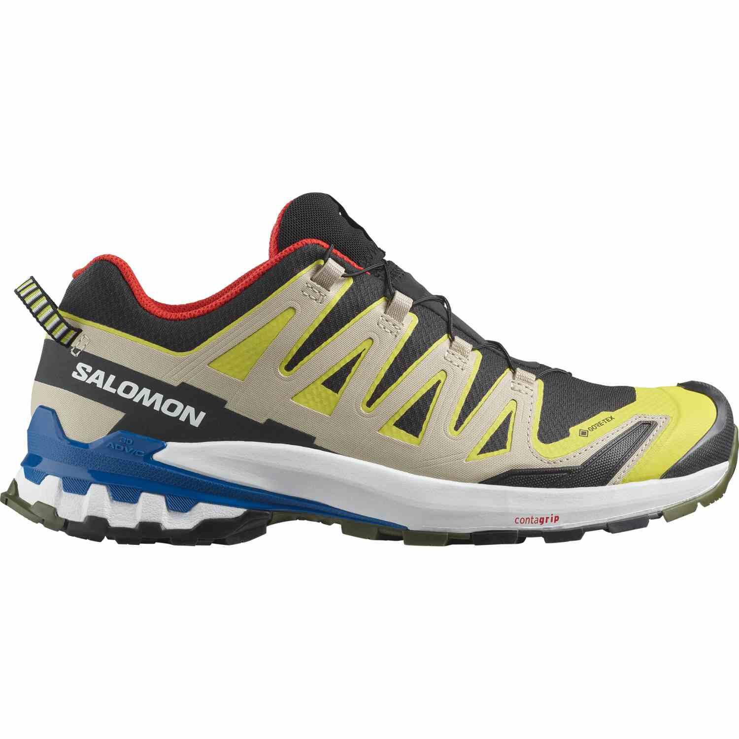 SALOMON picture