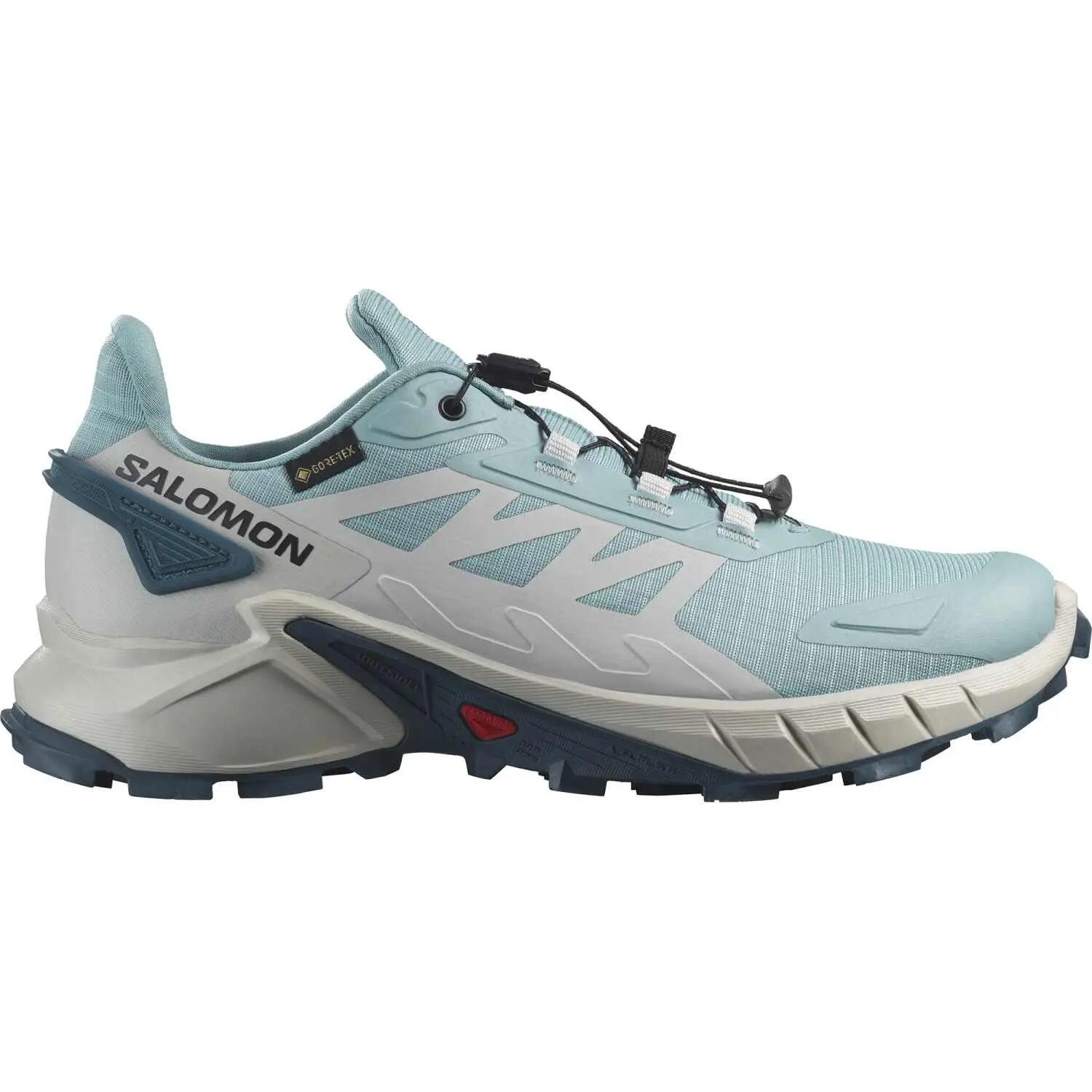 SALOMON picture