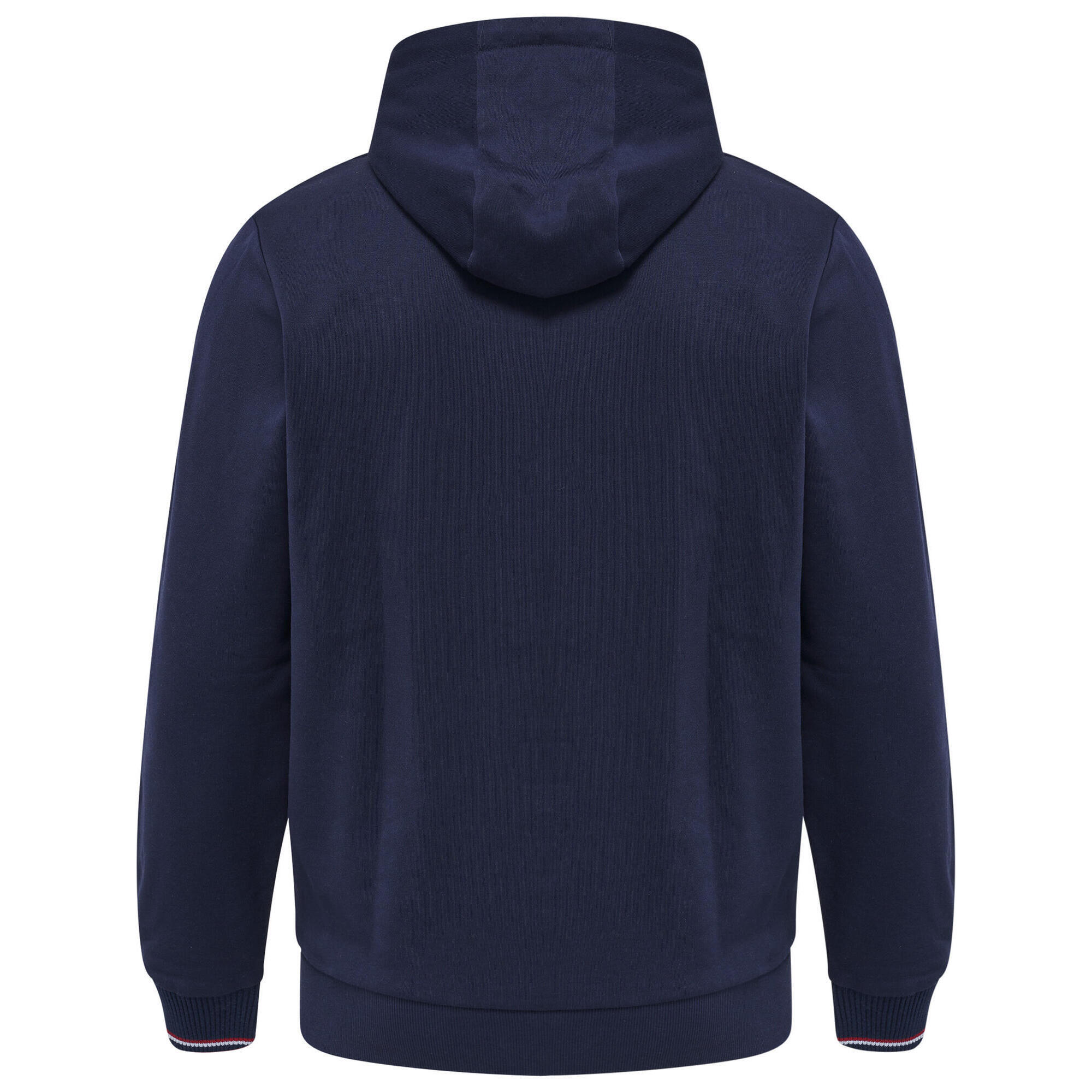 Hooded sweatshirt Hummel IC Dayton