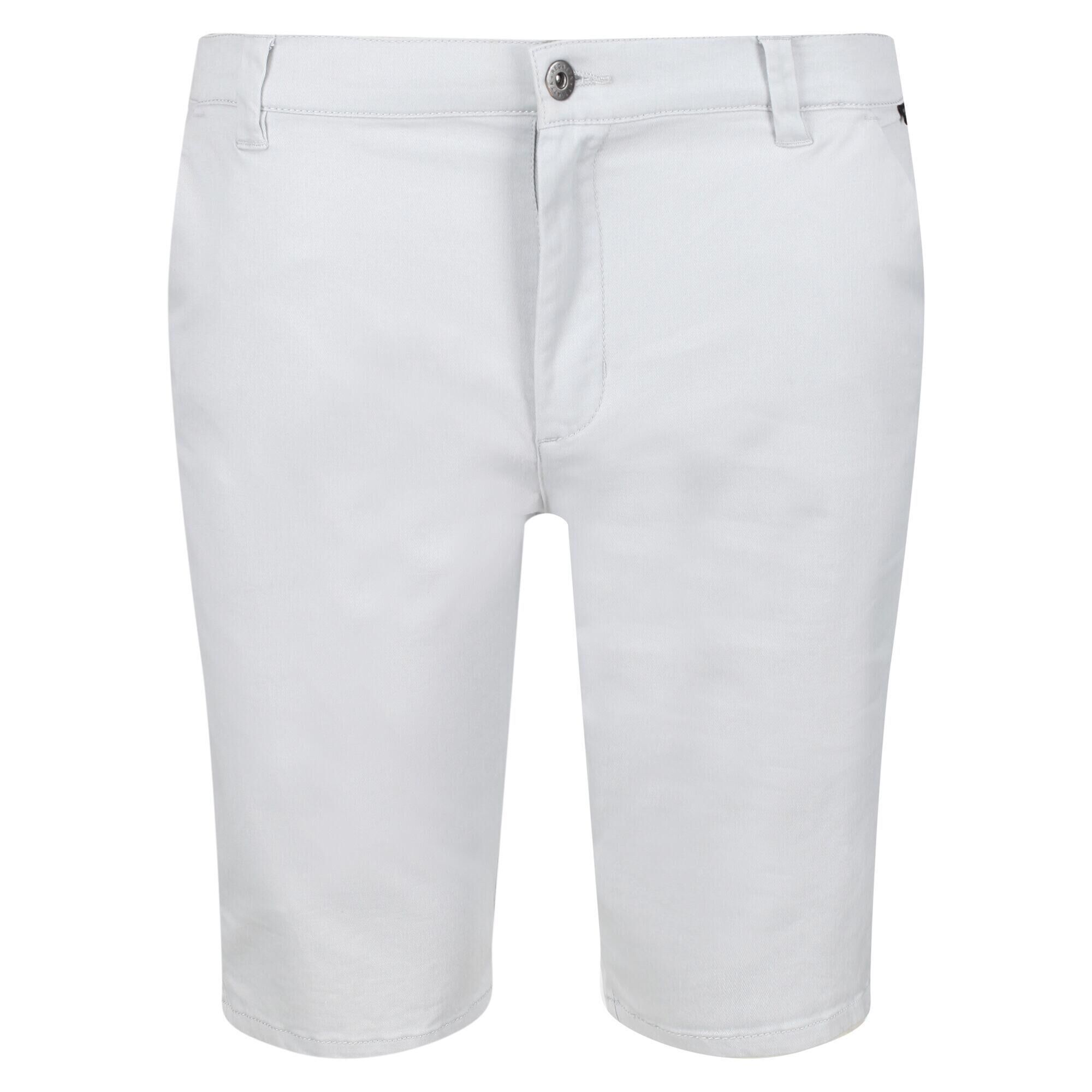 REGATTA Mens Sandros Shorts (Silver Grey)