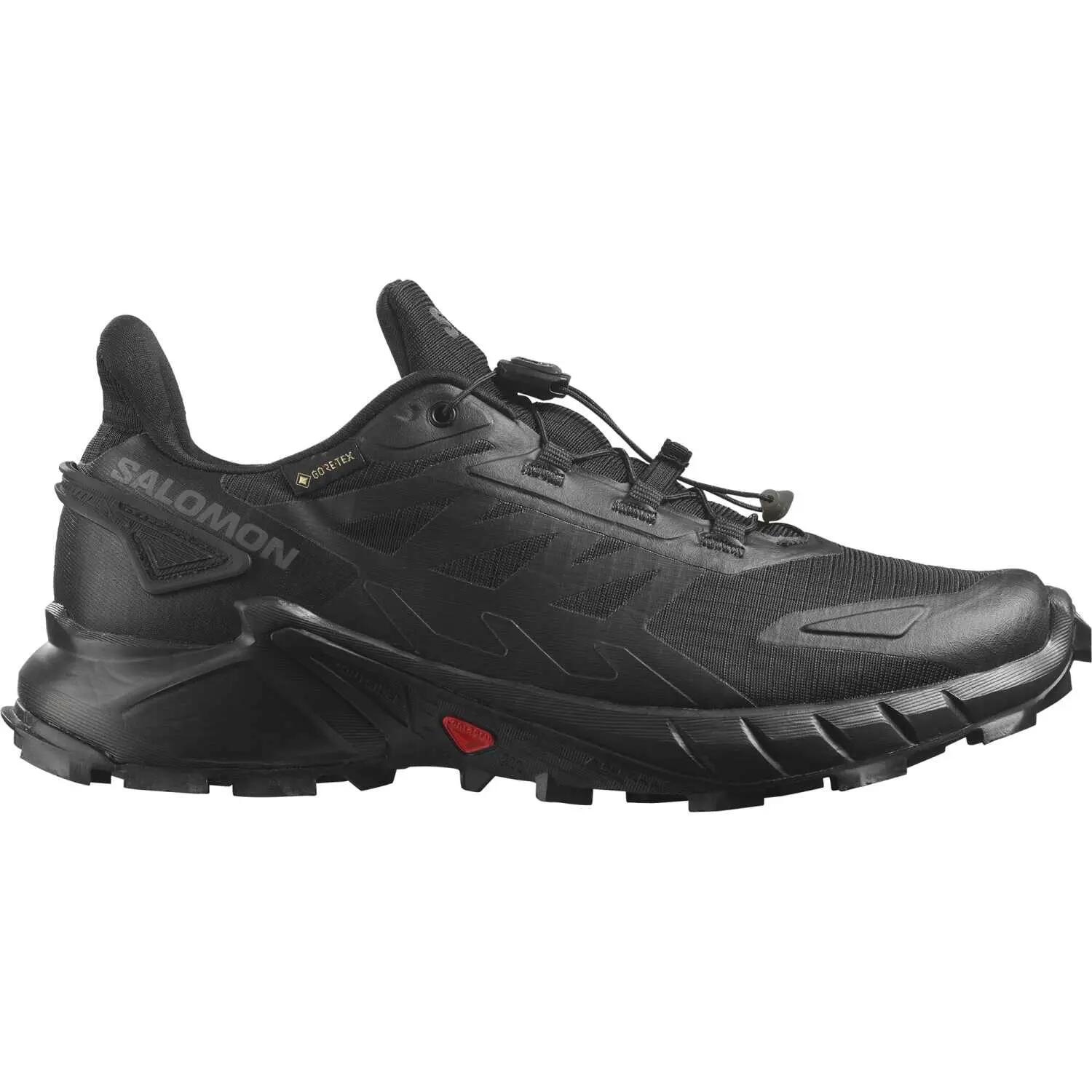 SALOMON picture