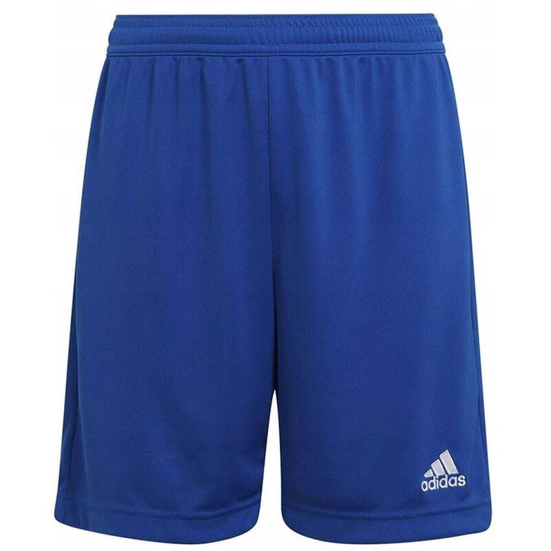 Junior Adidas Entrada Football Shorts 22