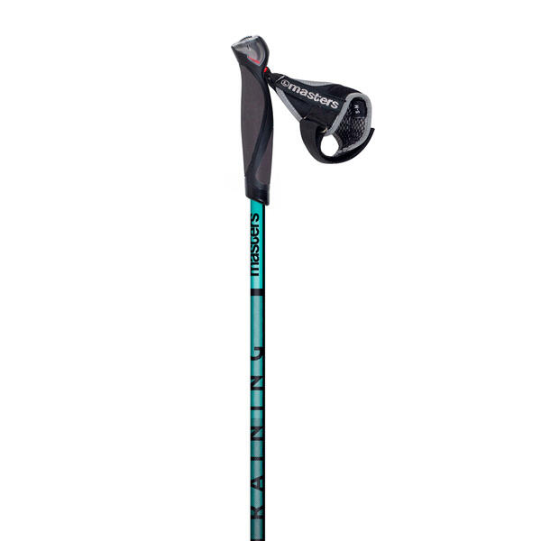 Kijki do nordic walking Masters Training