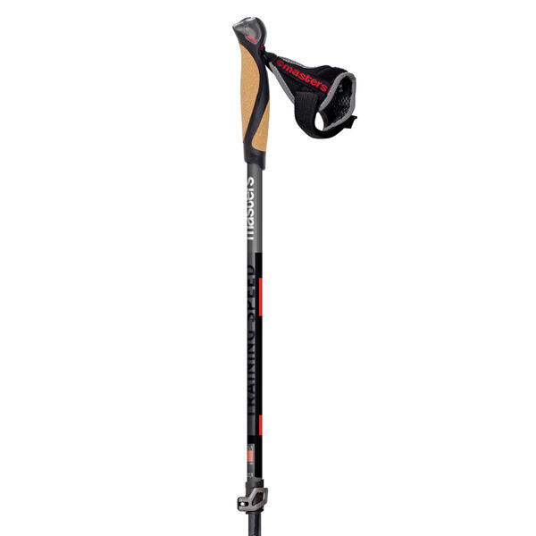 Kijki do nordic walking Masters Training Speed 2/4