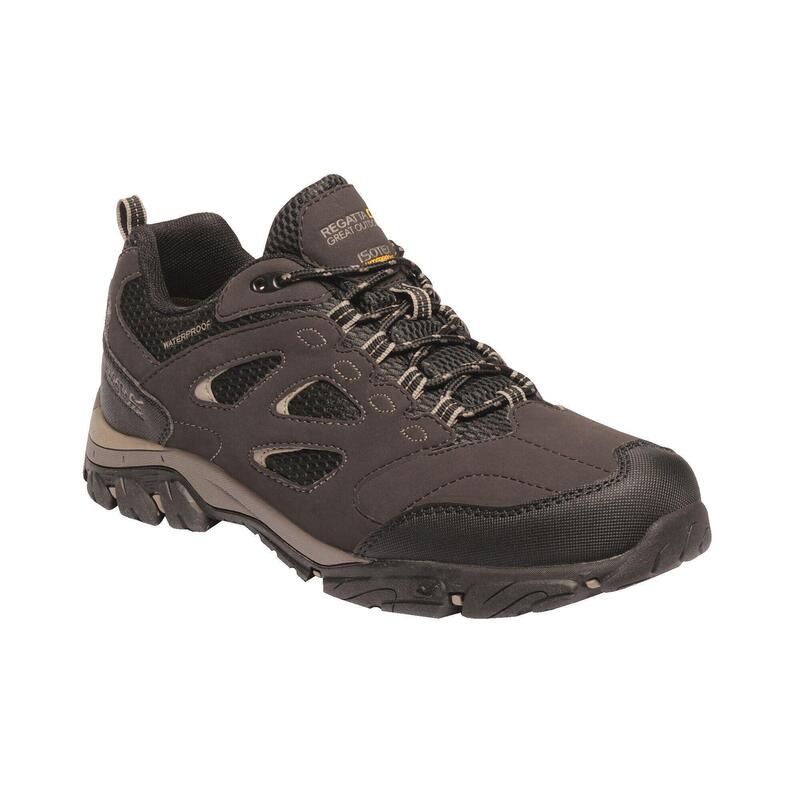Holcombe IEP Niedrige Wanderschuhe für Herren - Braun