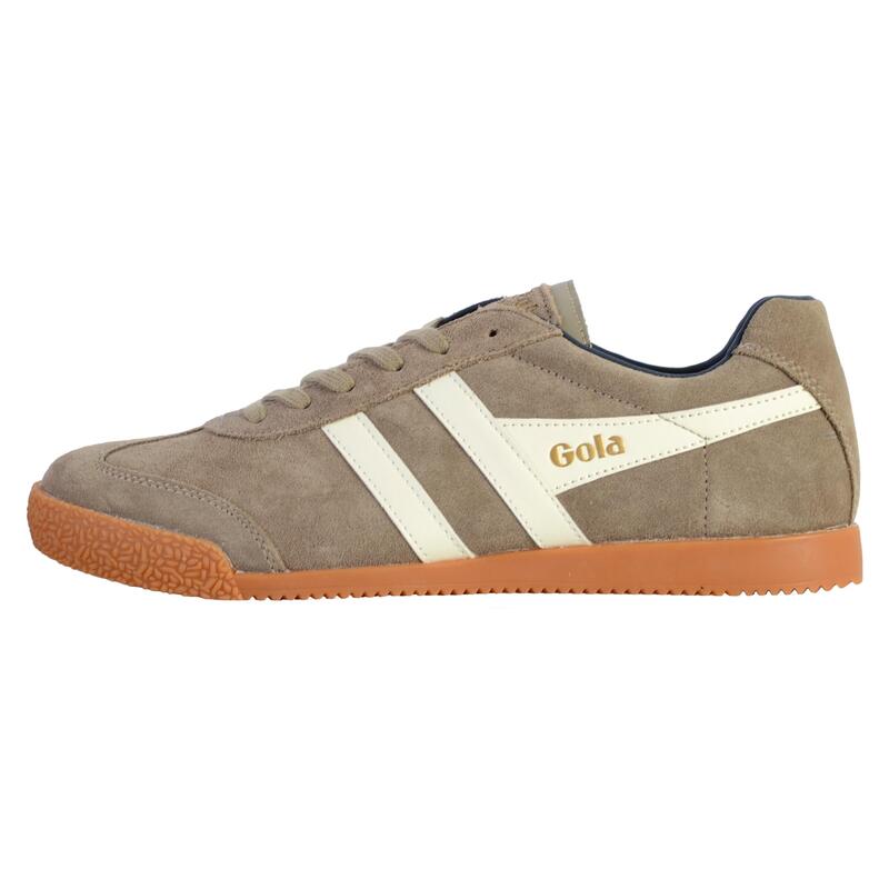 Basket Gola Harrier Suede - Homme