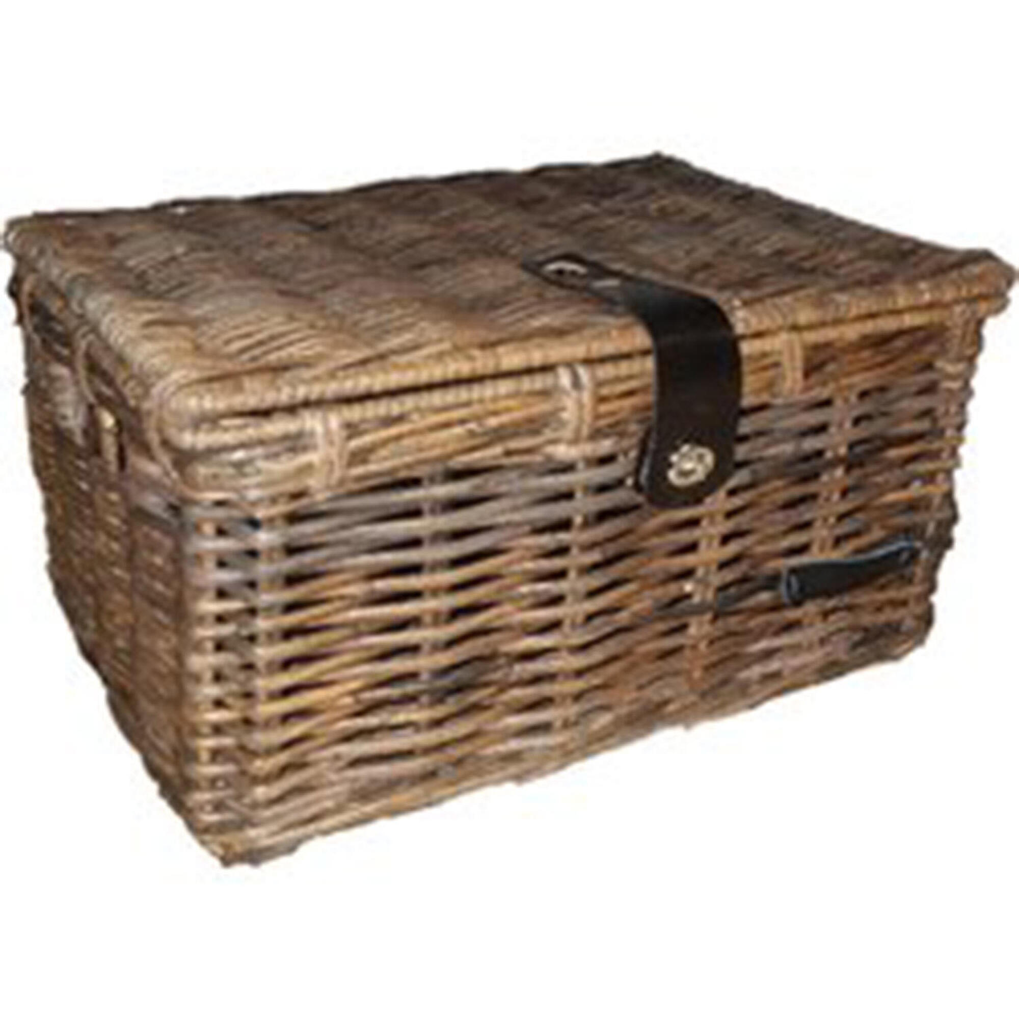 WICKED Fietsmand - Bruin - 45x33x24cm - 25L