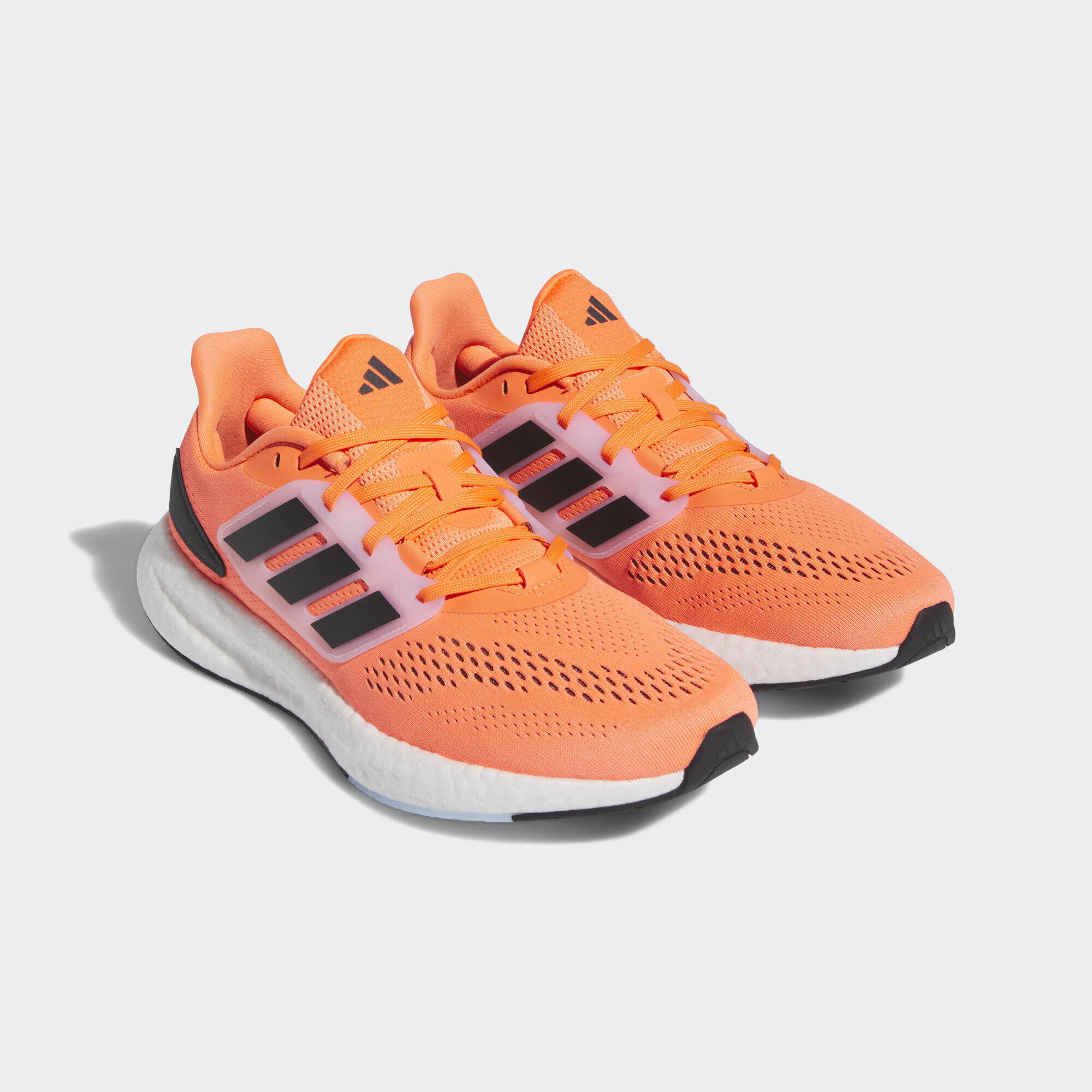 Chaussure Pureboost 22 5/7