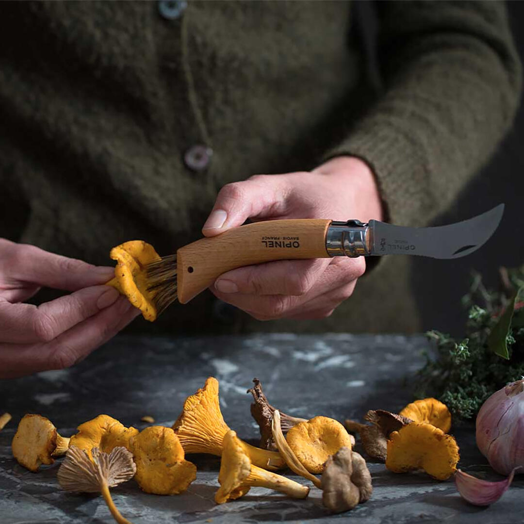 Coltello a fungo tascabile in legno di faggio spazzola pieghevole 3/3