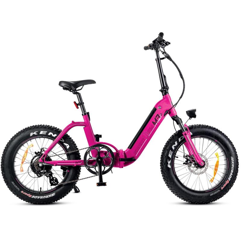 Bicicletta a pedalata assistita - Unisex – Fat Bike - Batteria Integrata