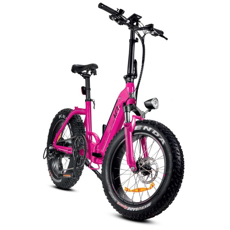 Bicicletta a pedalata assistita - Unisex – Fat Bike - Batteria Integrata