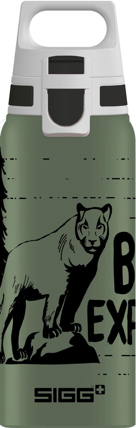SIGG picture