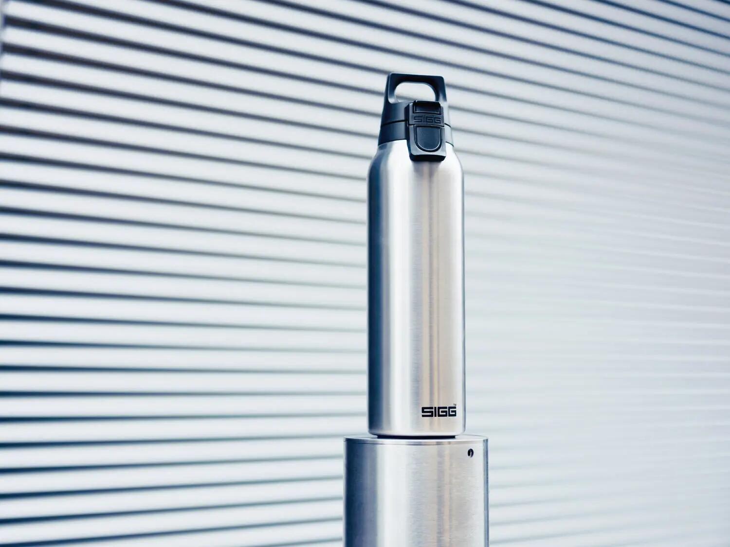 Gourde SIGG H&C ONE Light Brushed 0.55L isotherme 3/8