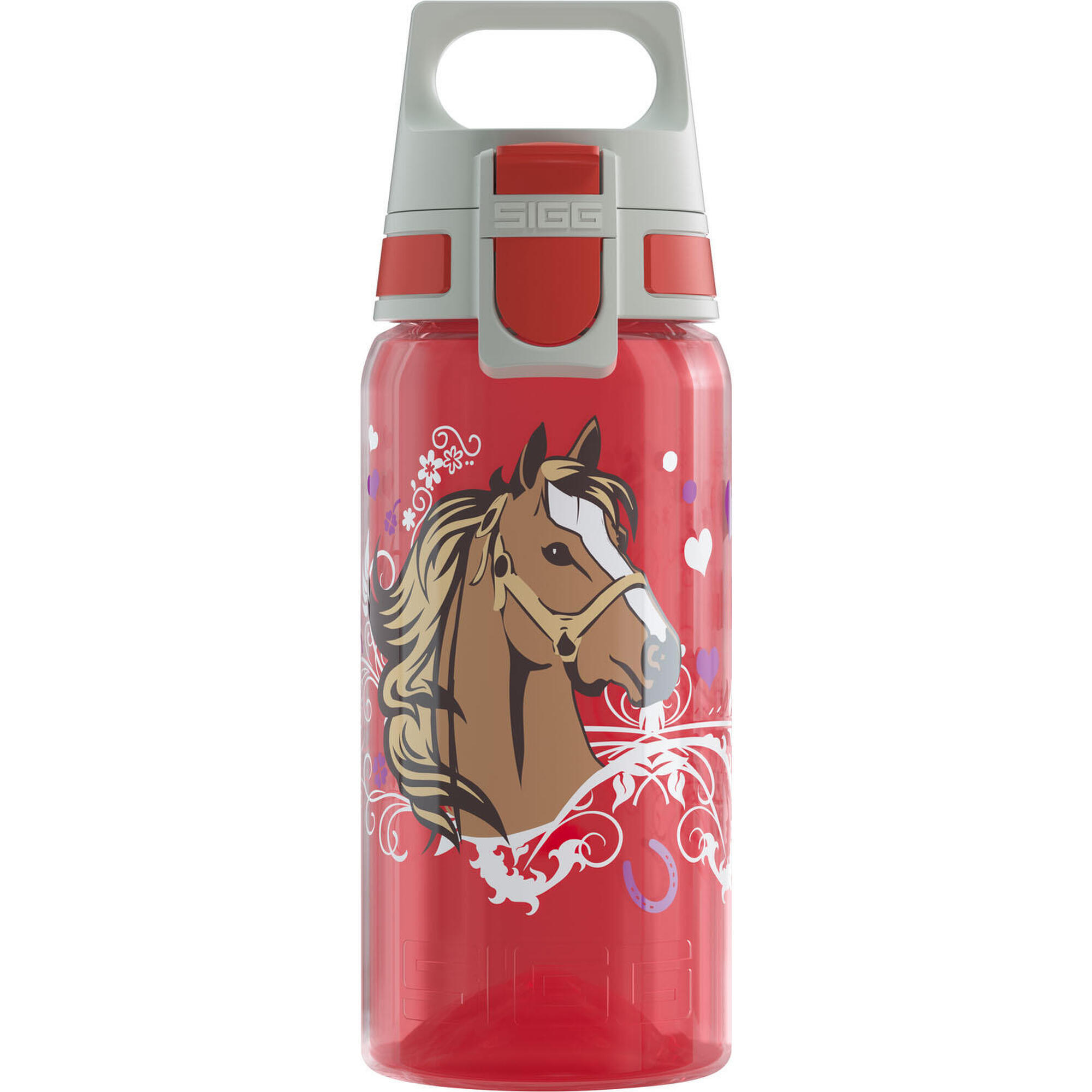 SIGG picture