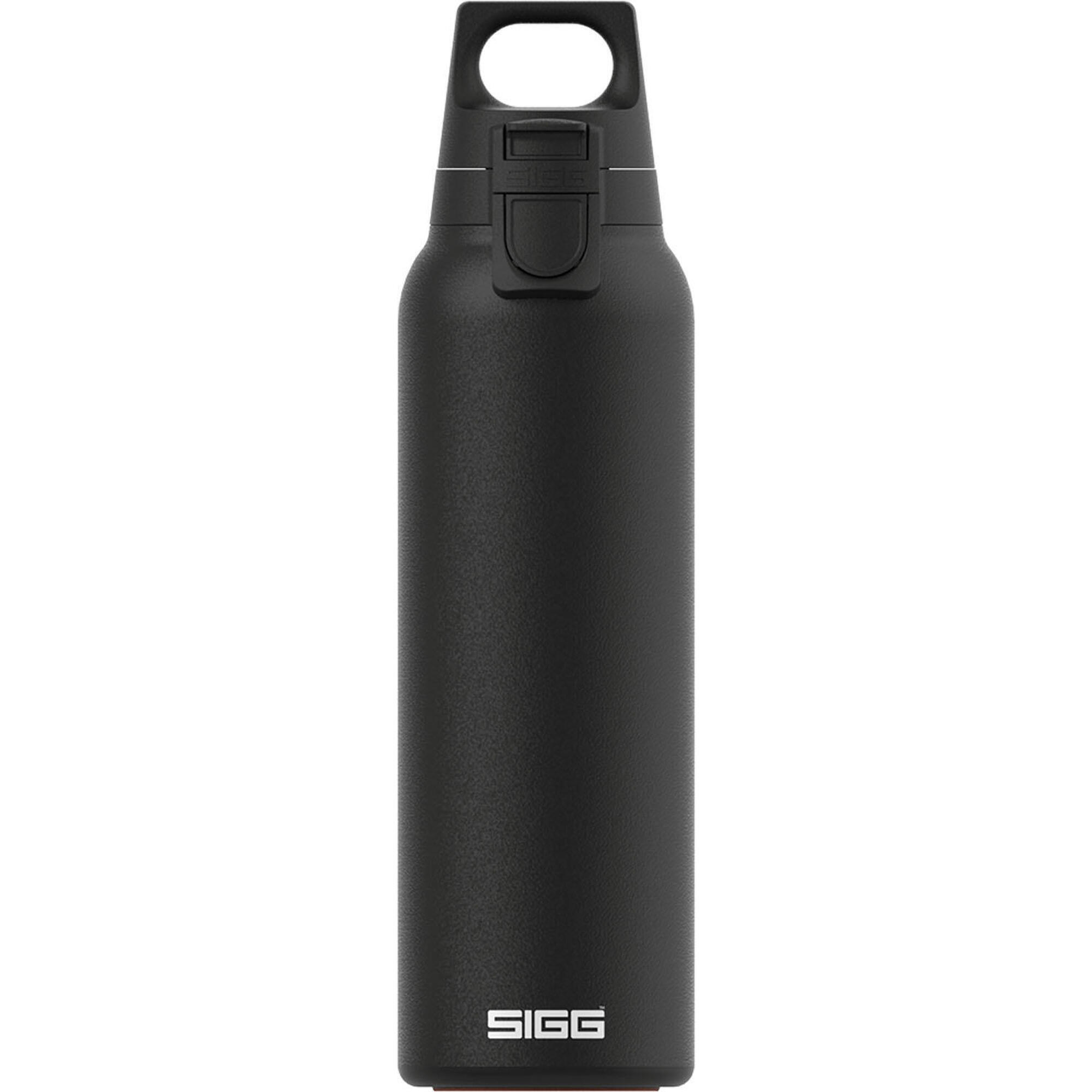 SIGG picture