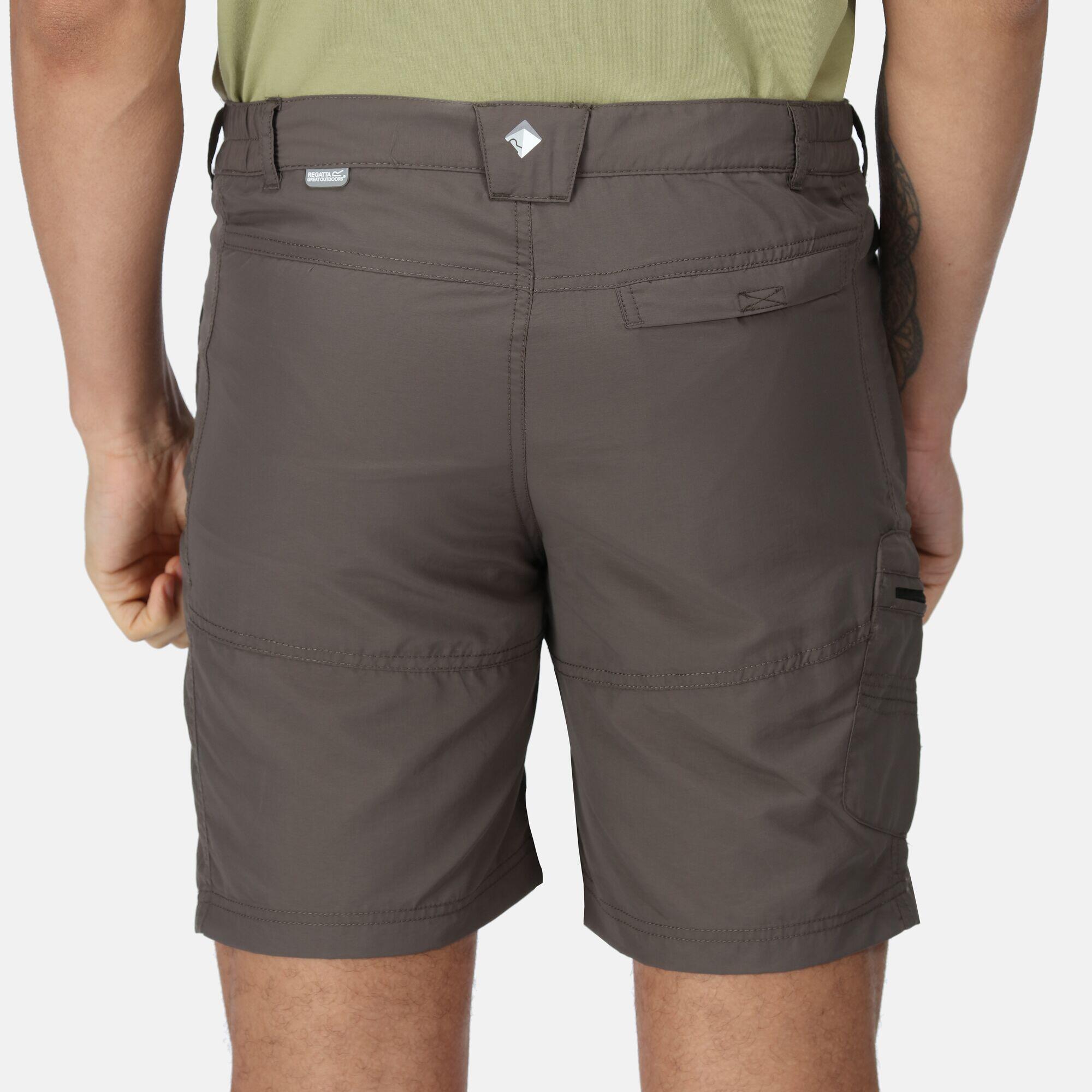 Leesville II Men's Hiking Shorts - Hawthorn Brown 5/6