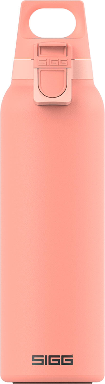 SIGG picture