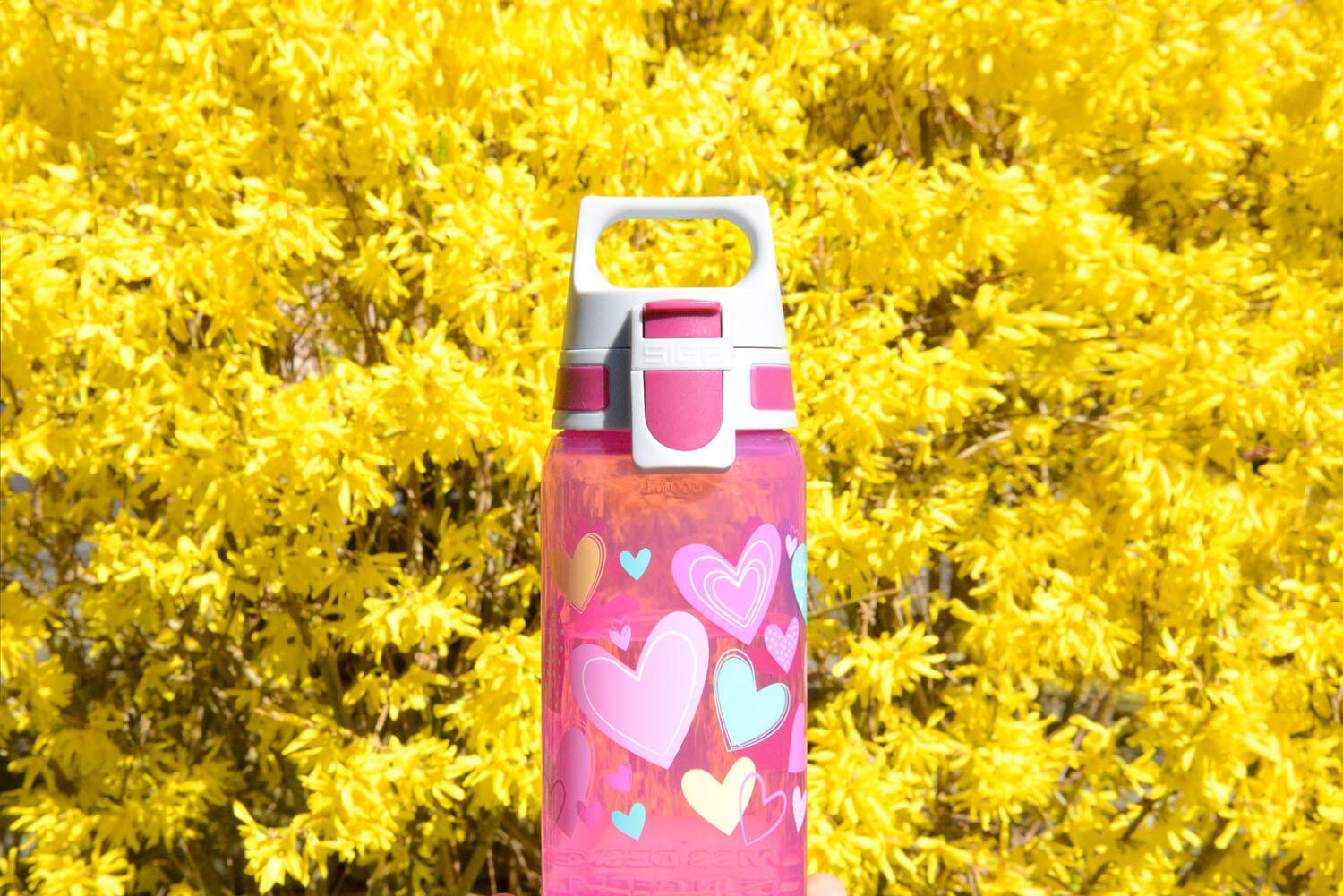 Gourde enfant 0,5L SIGG VIVA ONE Hearts 100% made in Allemagne 4/5