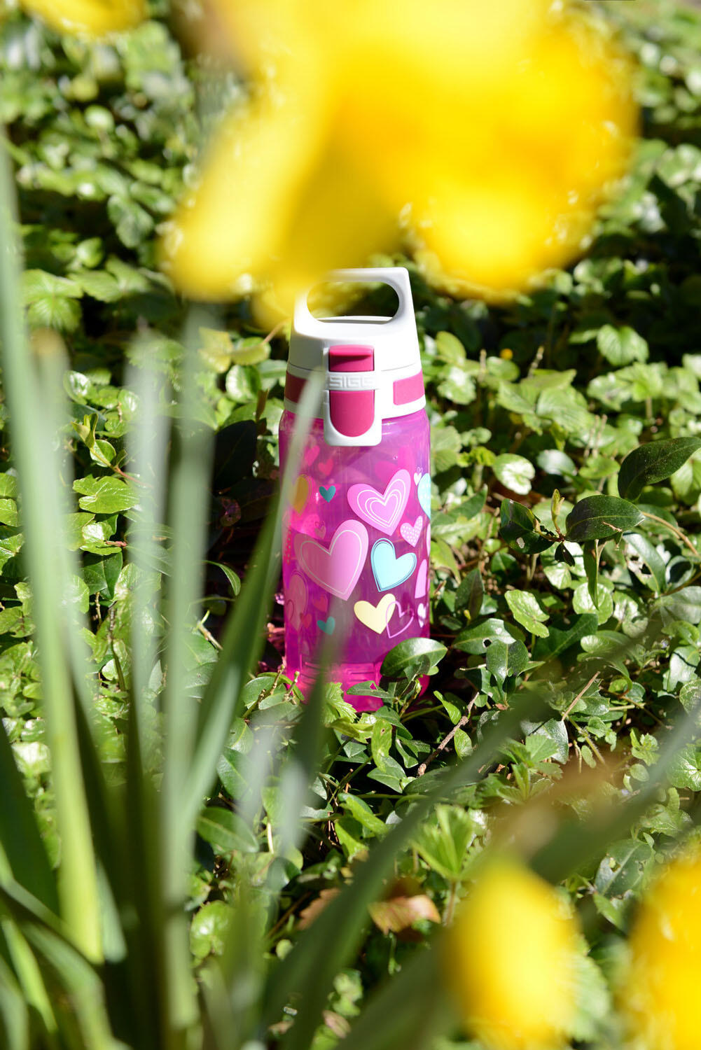 Gourde enfant 0,5L SIGG VIVA ONE Hearts 100% made in Allemagne 3/5