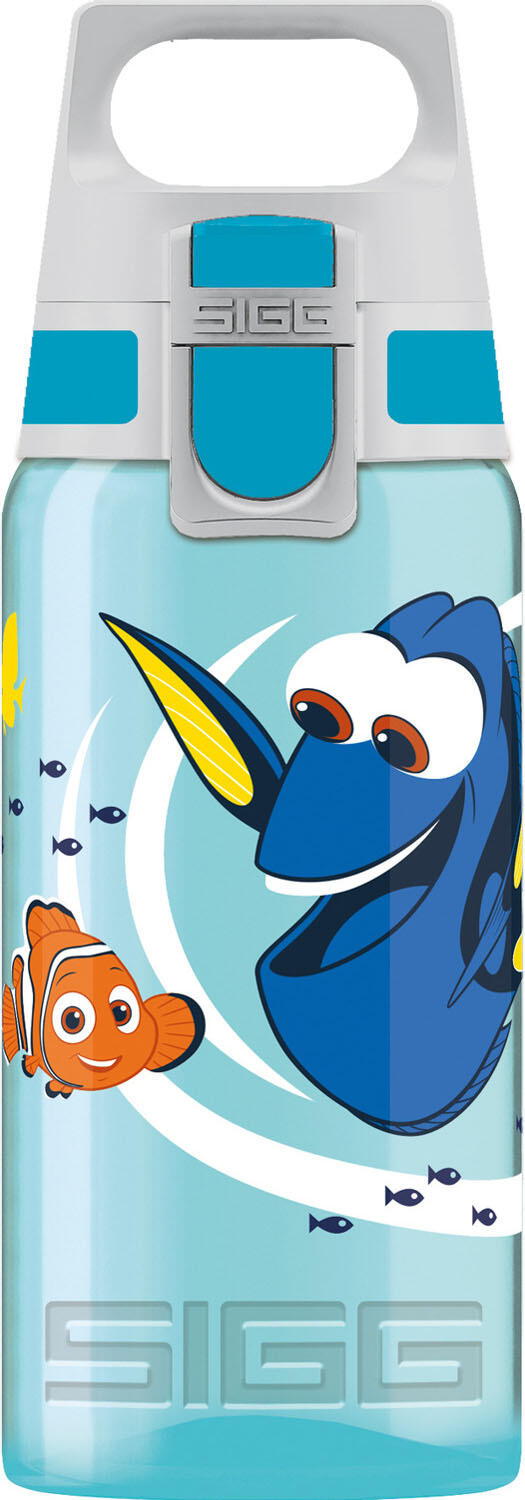 SIGG picture