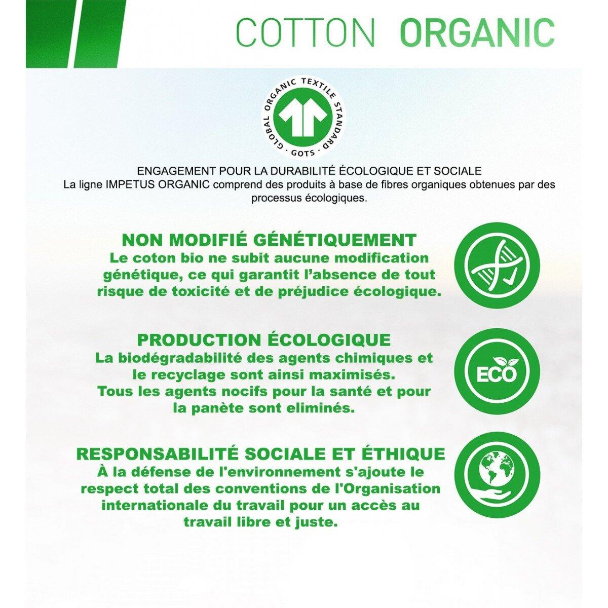 Slip bio organique Oeko-Tex Cotton Organic 5/5
