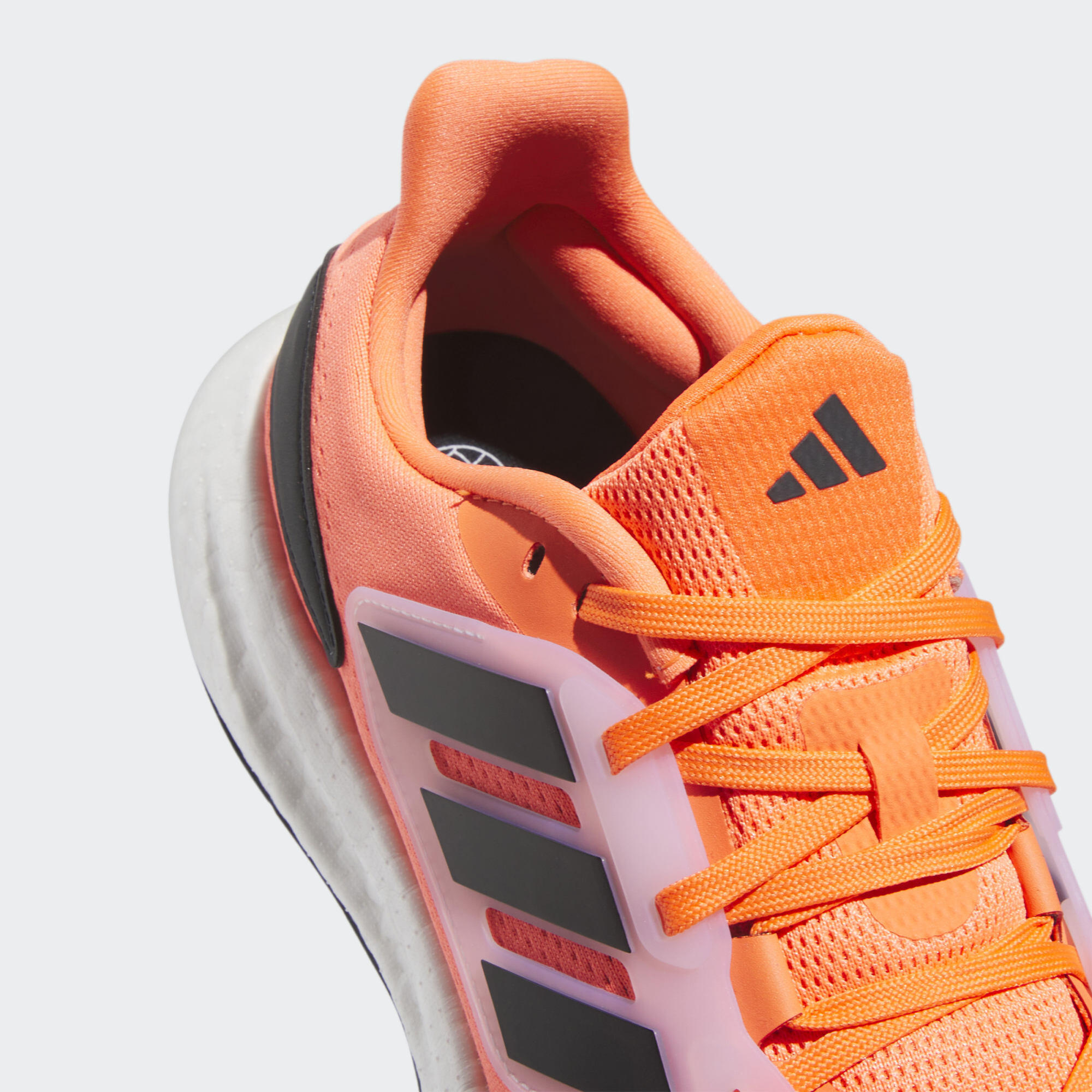 Chaussure Pureboost 22 6/7