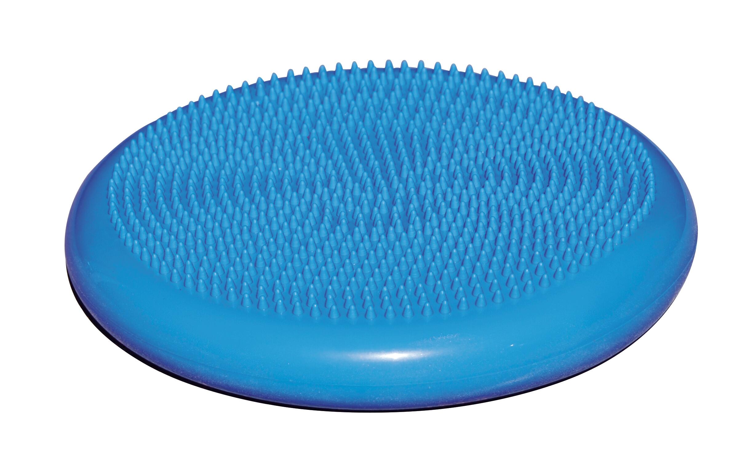 Balance disc blue 3/4