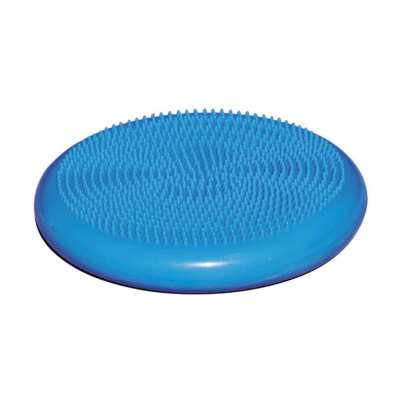 Balance disc blue