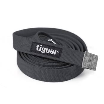 TIGUAR picture