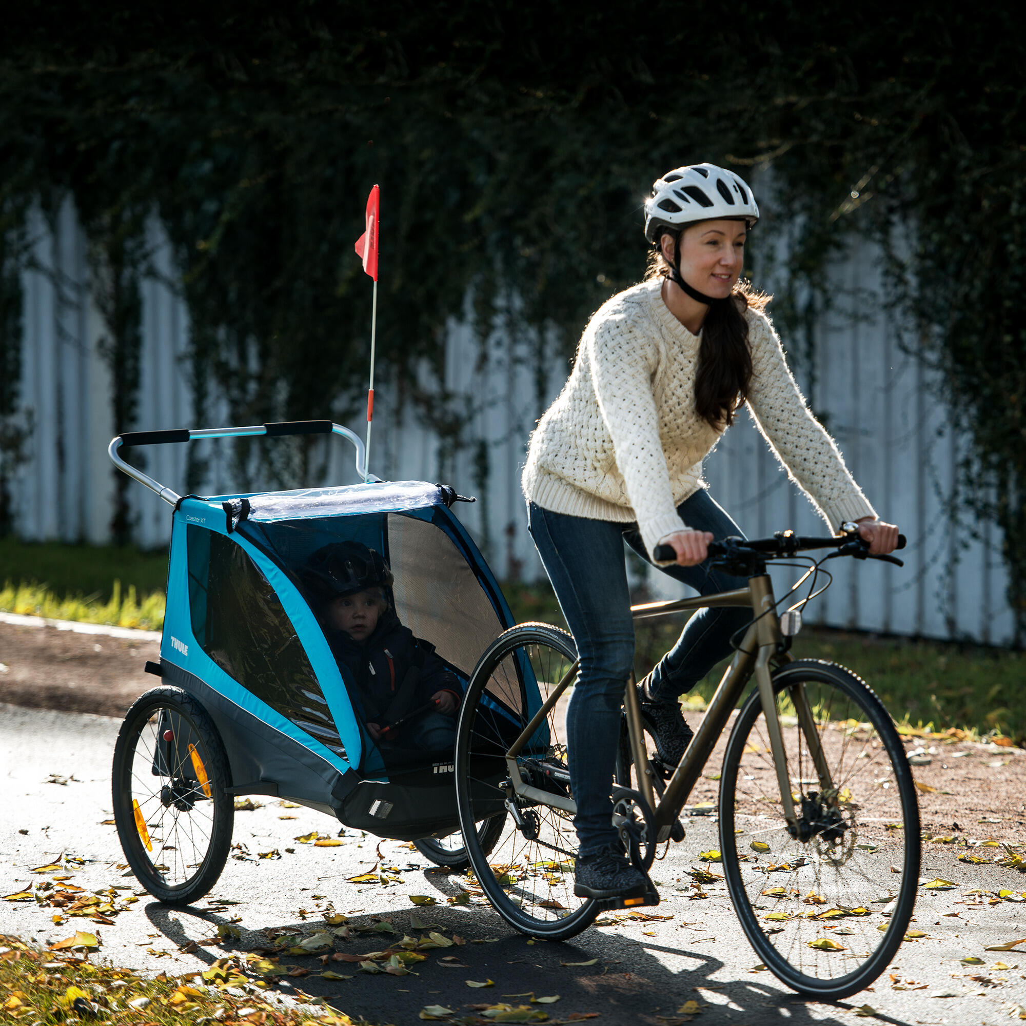 Fietstrailer Thule Coaster XT 6/7