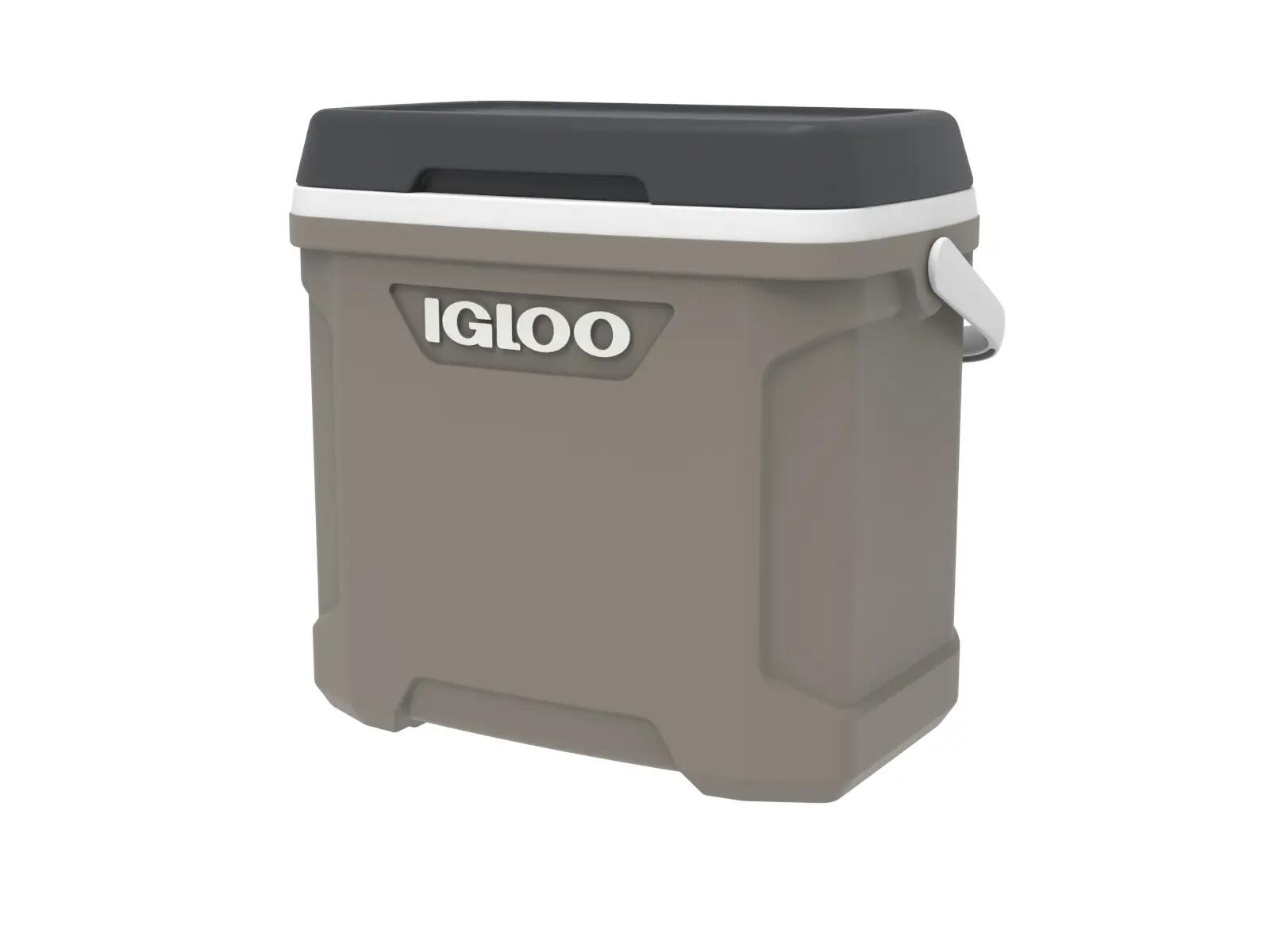 IGLOO picture