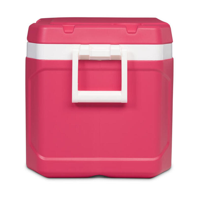 Igloo Latitude 52 PINKISHRED Refrigeratore rigido rosa Capacità 49 litr