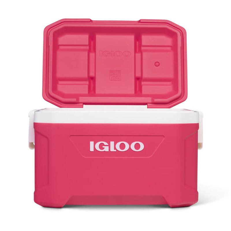 Igloo Latitude 52 PINKISHRED Refrigeratore rigido rosa Capacità 49 litr