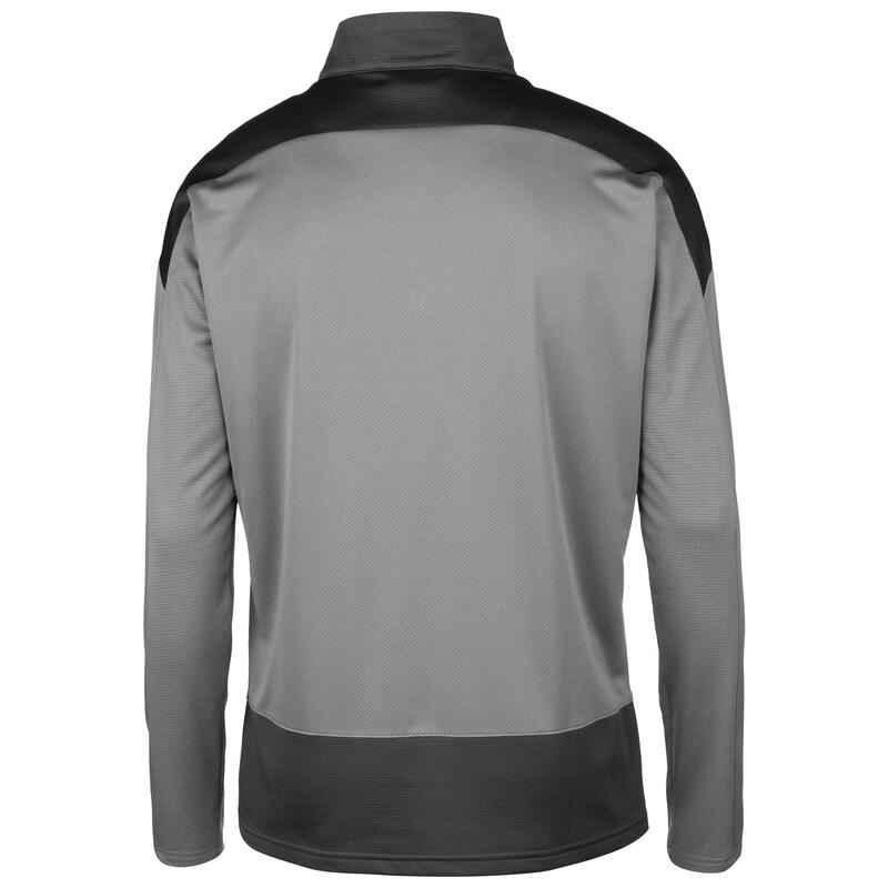 Trainingspullover teamGOAL 23 Herren PUMA