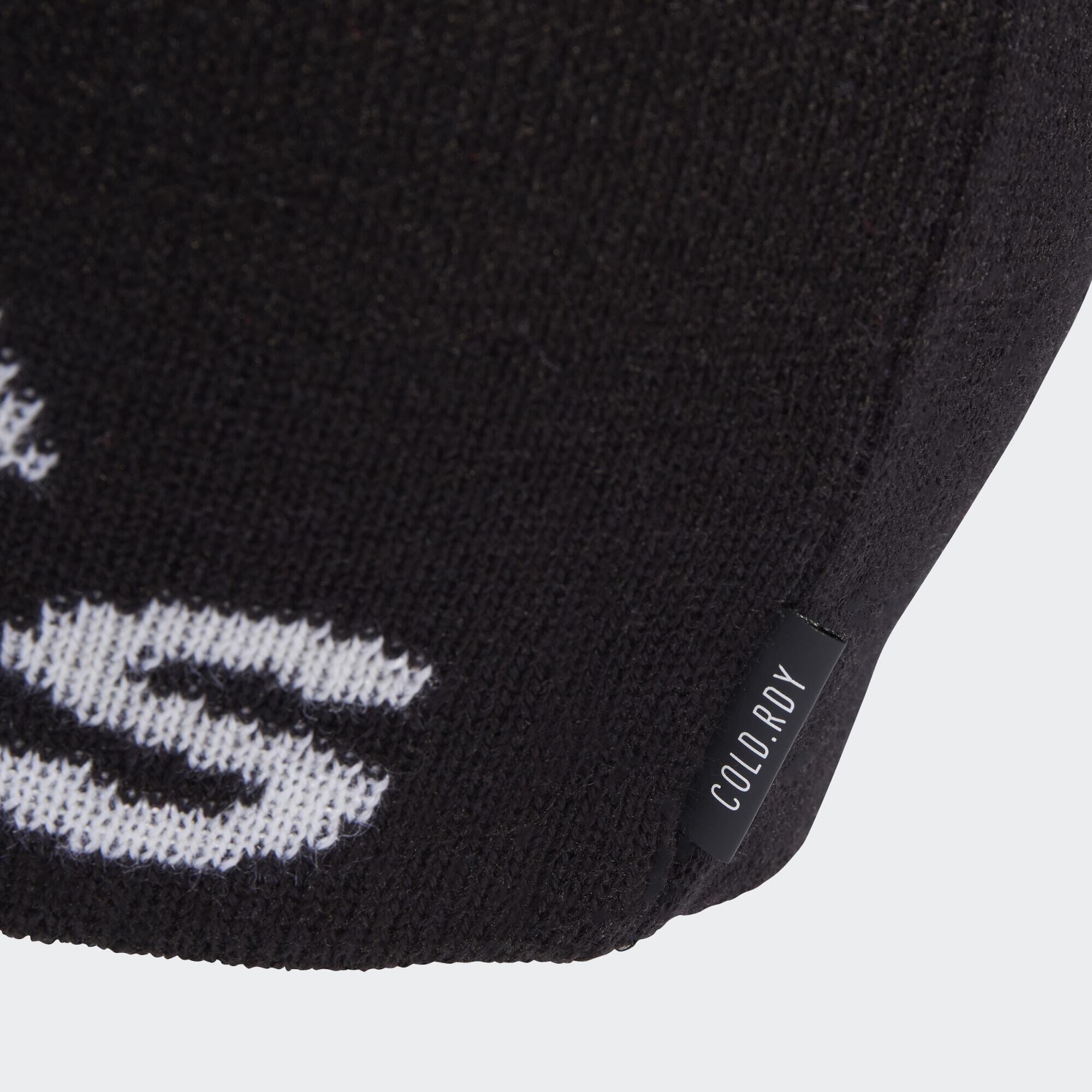 COLD.RDY Big Logo Beanie 3/5