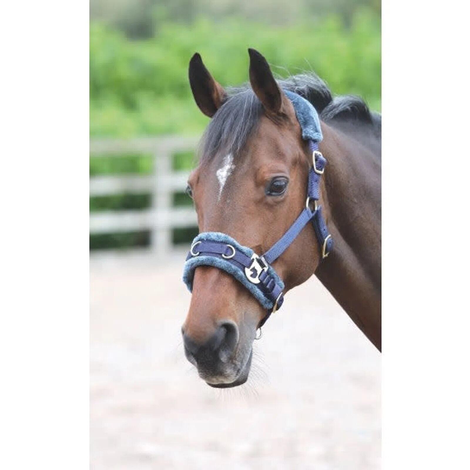 Fleece Lined Horse Lunge Cavesson (Navy) 1/1