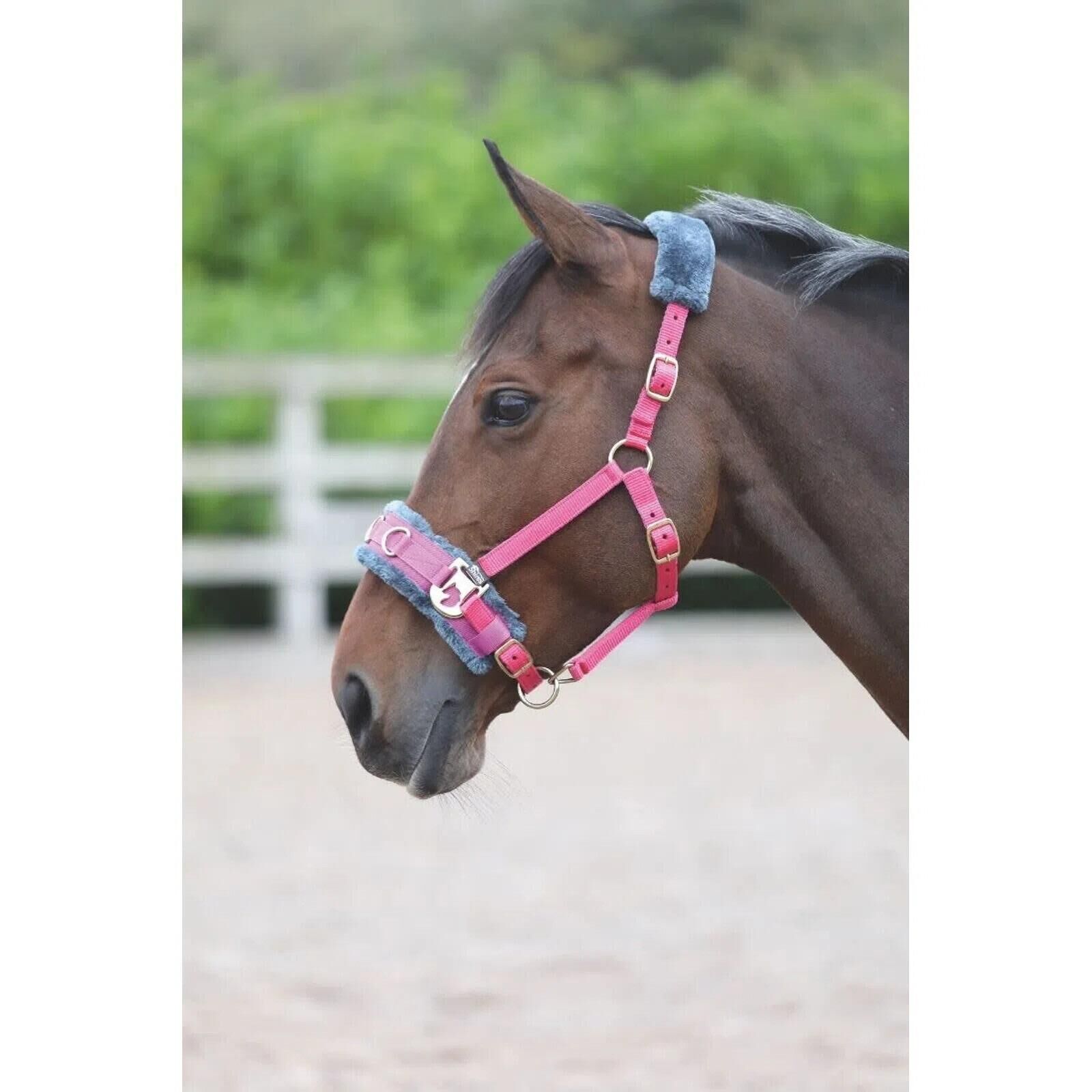 SHIRES Fleece Lined Horse Lunge Cavesson (Pink)