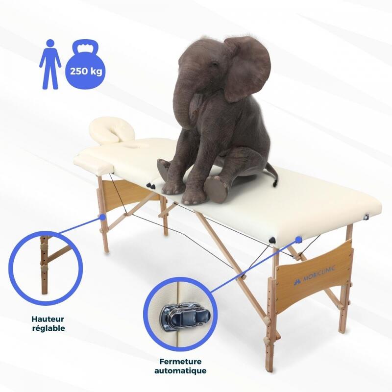 Table de massage Pliante Appui-tête Hauteur réglable  Bois Portable Max. 250 kg