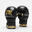 Manusi MMA  Leone Guanti DNA Negre