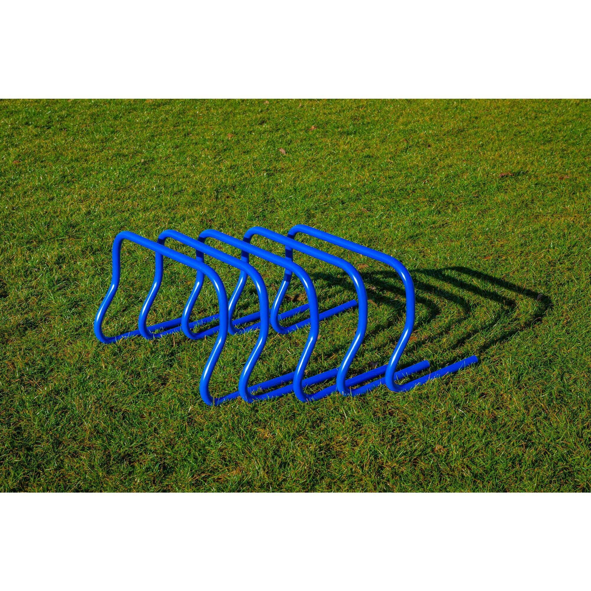 Set di 5 siepi - 45 cm 5/6