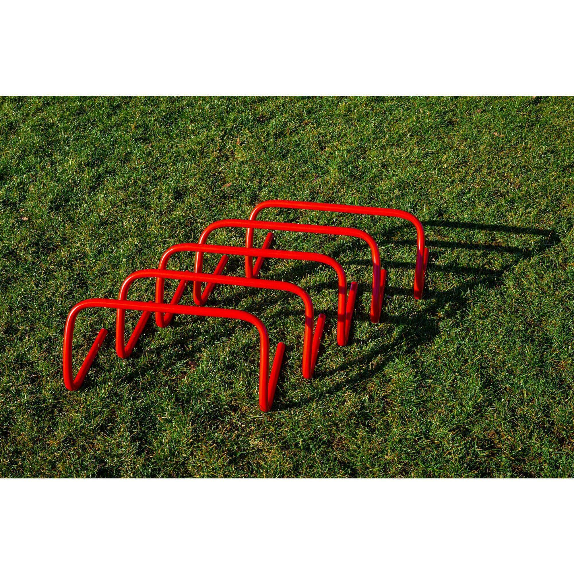 Set di 5 siepi - 45 cm 4/6